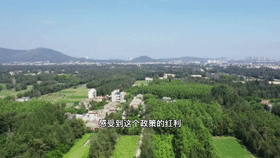 微信圖片_20210611223021.gif