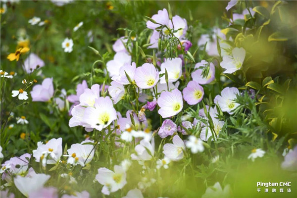 1632642158827728.jpg 微信圖片_20210926153803.jpg