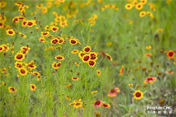 1632642168985211.jpg 微信圖片_20210926153807.jpg