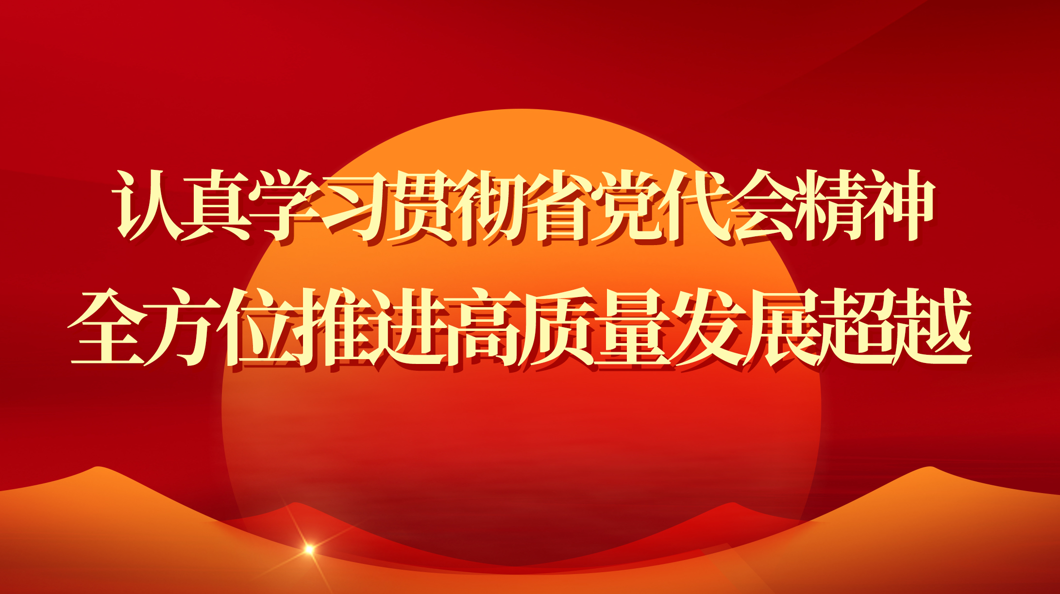認真學習貫徹省黨代會精神 全方位推進高質量發展超越