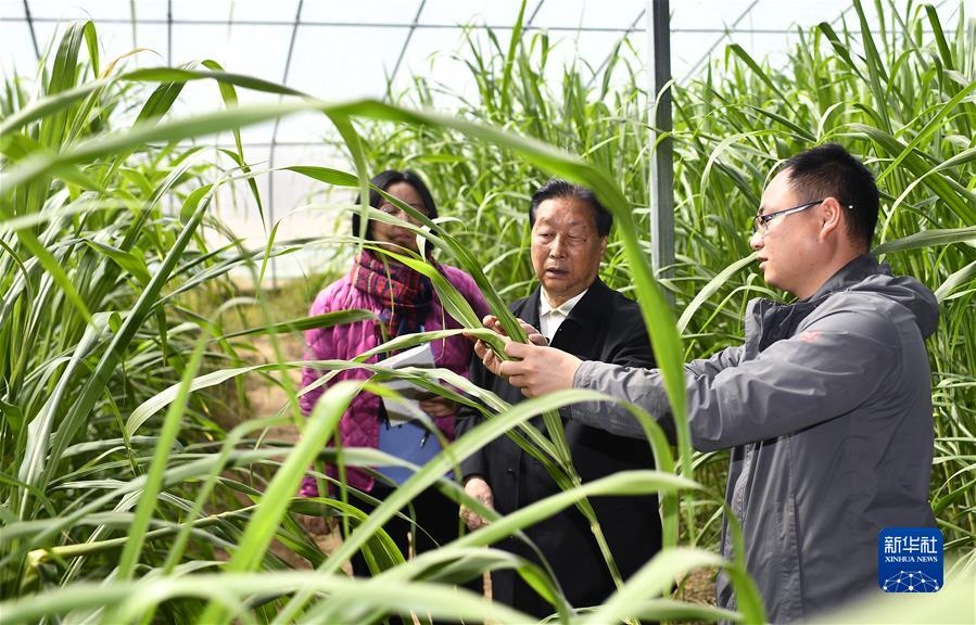 (新華全媒頭條·圖文互動)(4)習(xí)近平的山海情