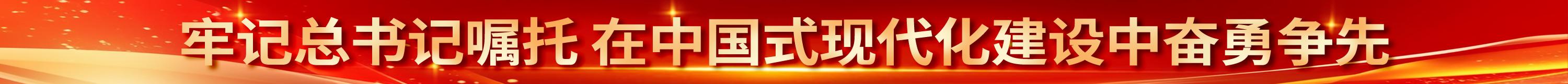 牢記總書記囑托 在中國式現代化建設中奮勇爭先