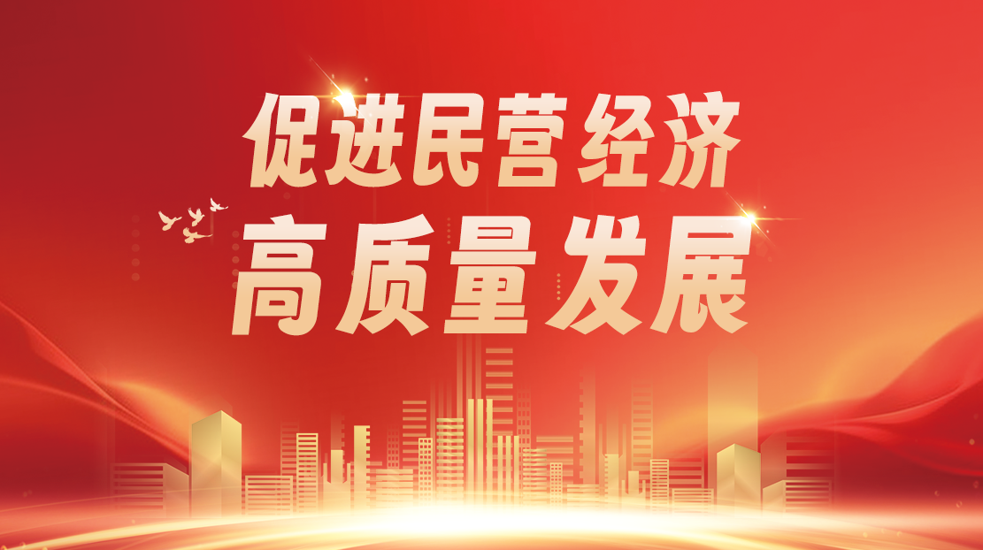 促進民營經濟高質量發展