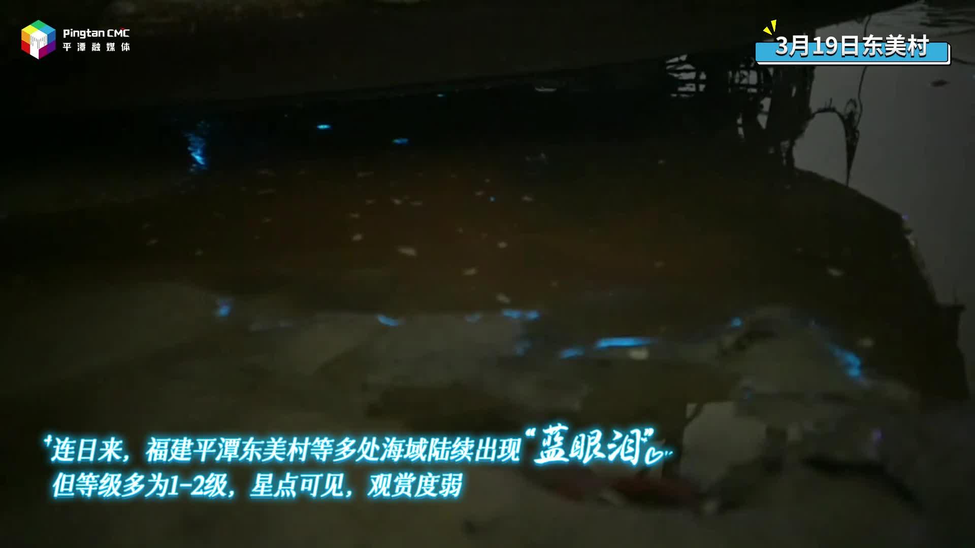 平潭藍眼淚羞答出現，巨幕版期待夢幻出場