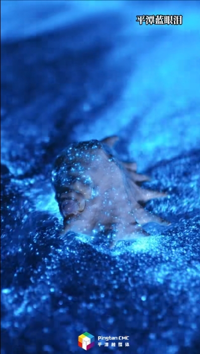 一張機票的事，和自己喜歡的人，來平潭追藍眼淚吧