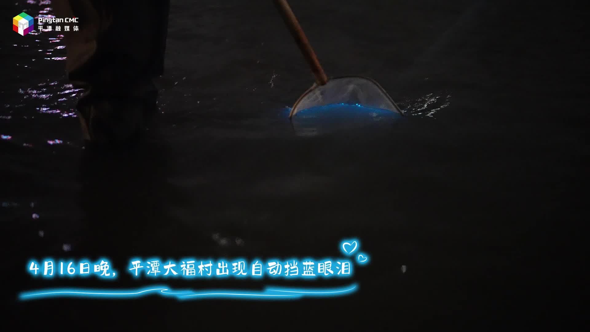 平潭連續兩日出現自動擋藍眼淚！夢幻平潭藍，浪漫觸手可及