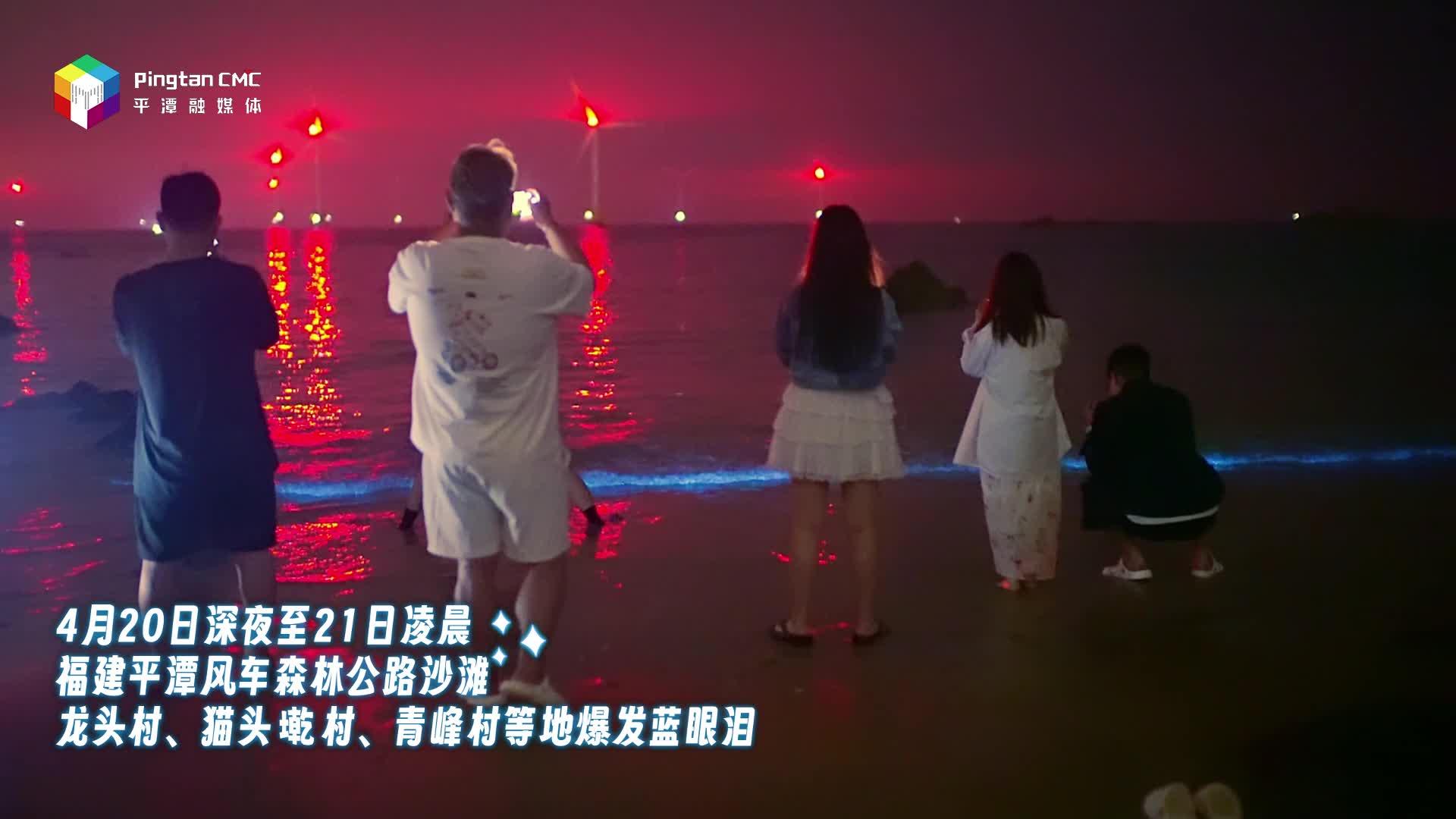福建平潭開啟浪漫模式，多地爆發藍眼淚！