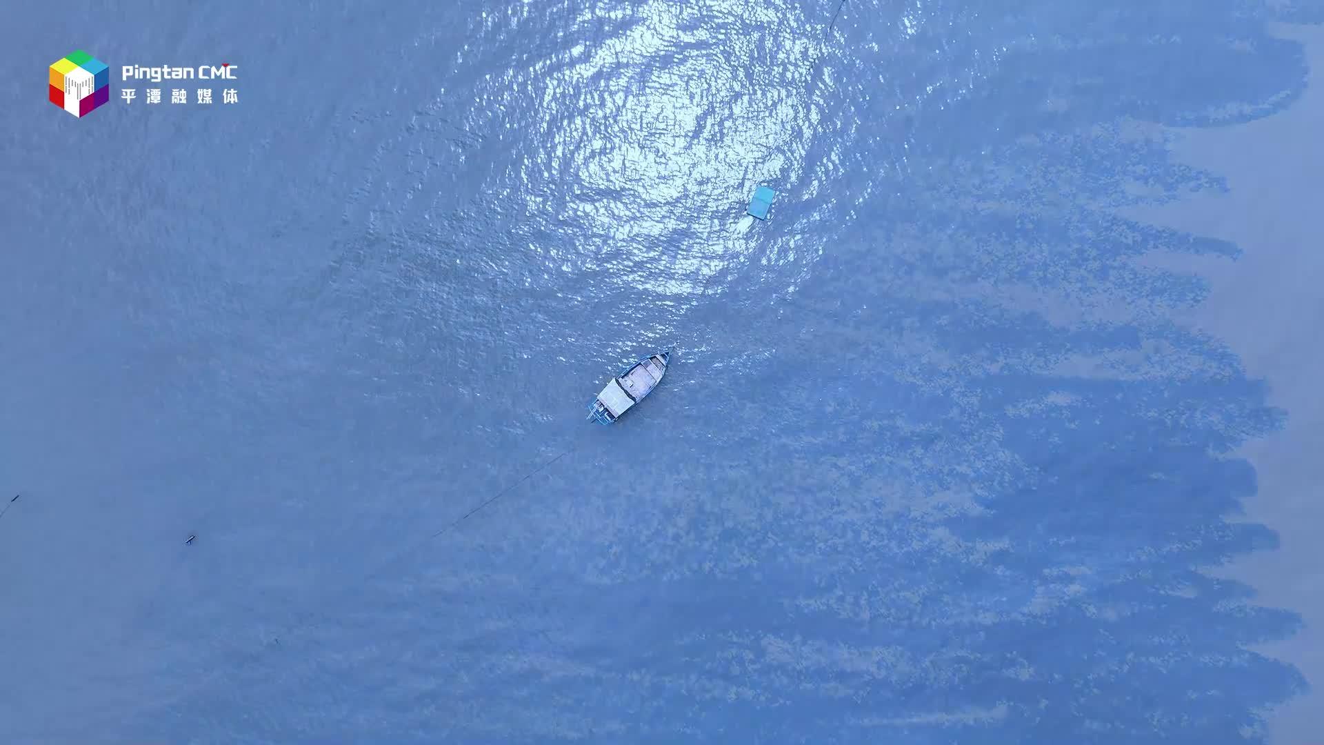 世界地球日丨守護地球，綠色“童”行
