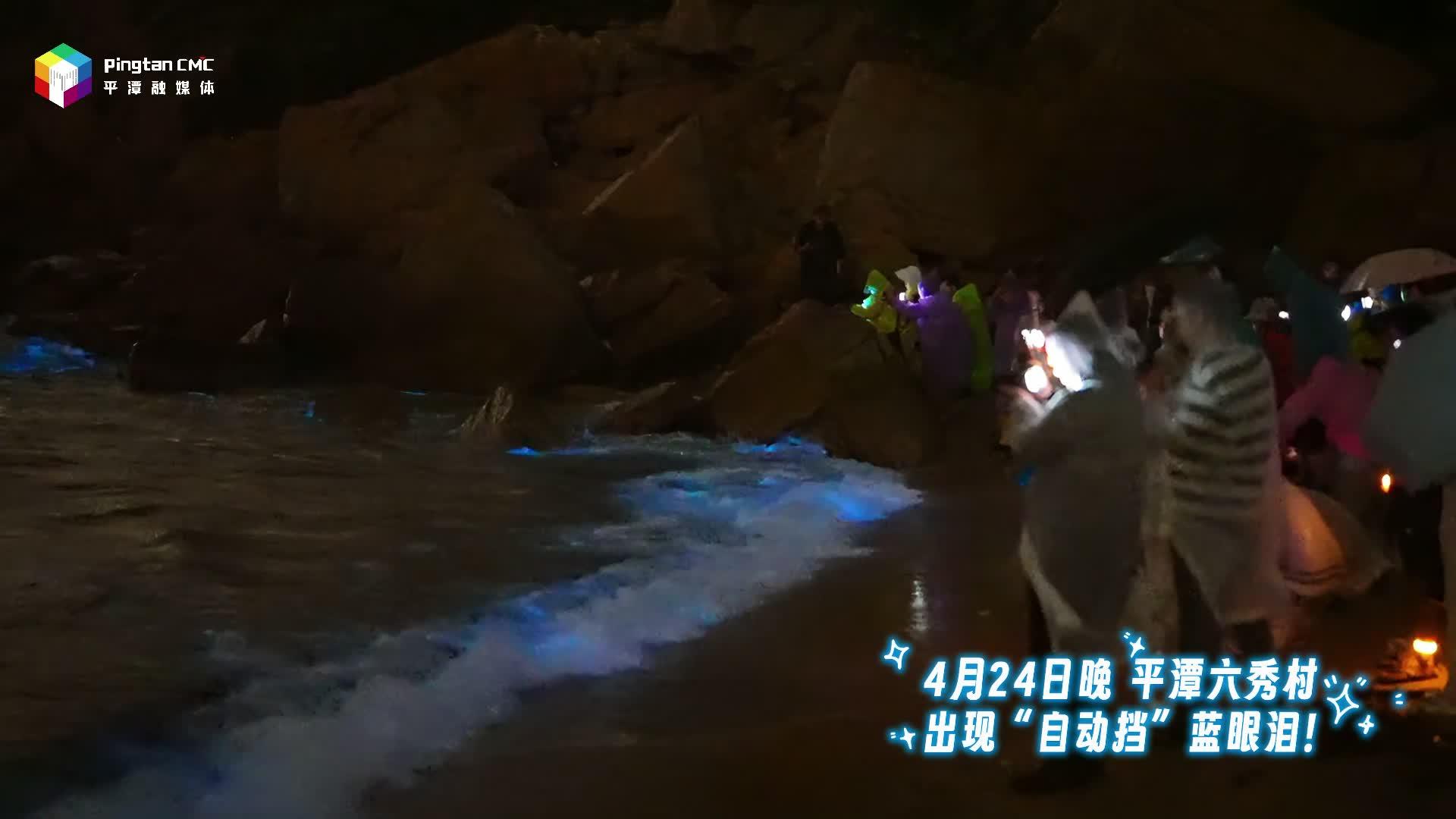 福建平潭第二次出現絕美藍眼淚