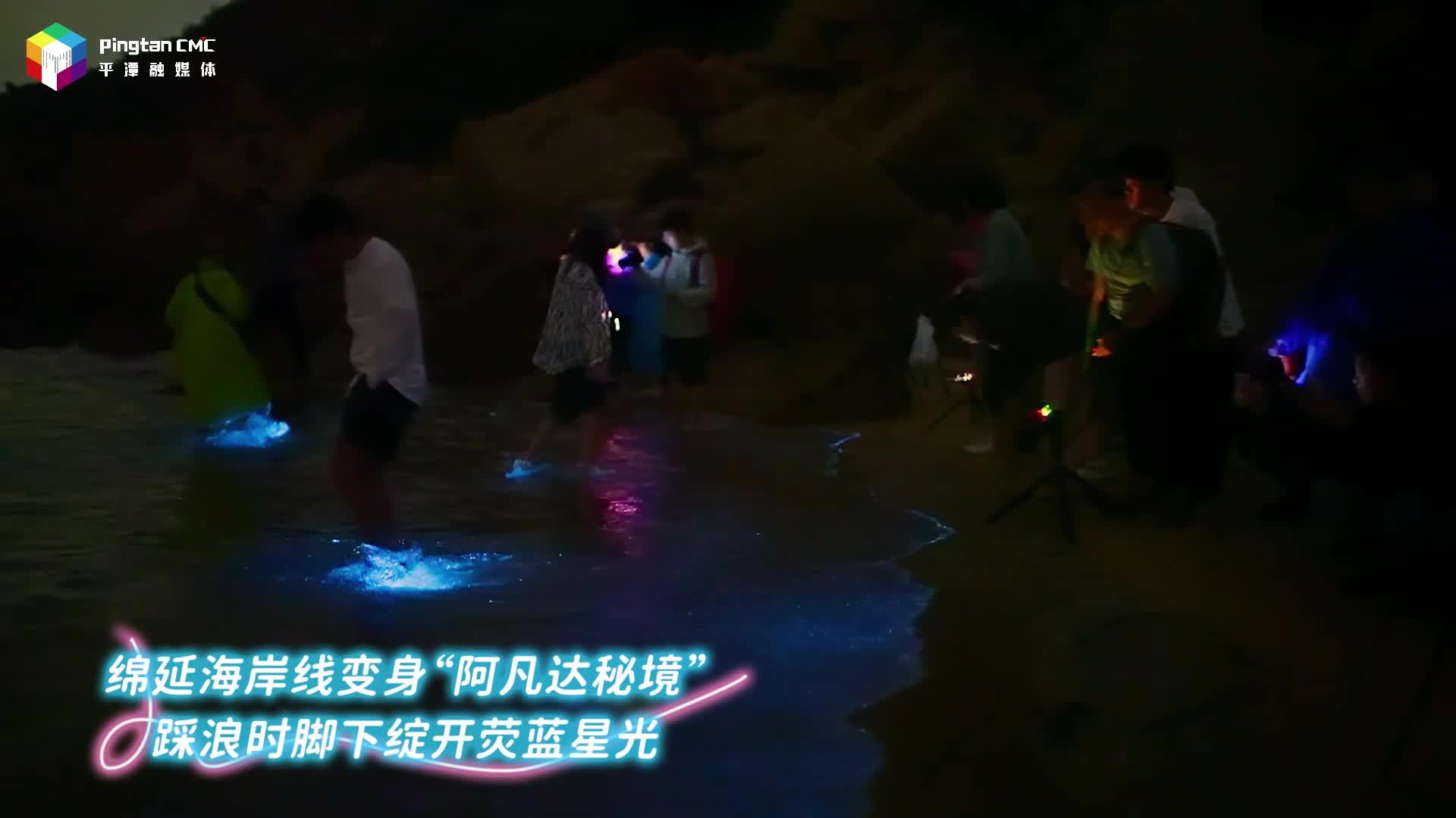 浪漫藍眼淚連續一周高頻出現
