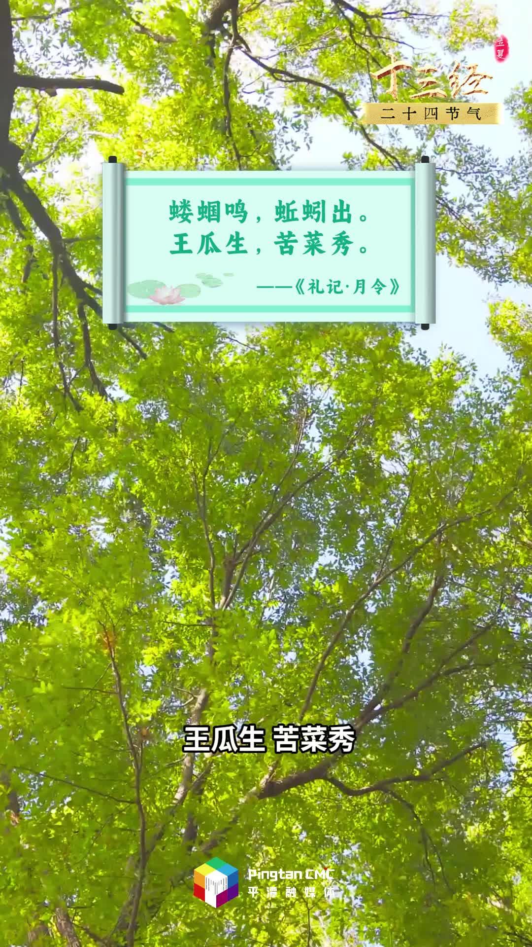 “十三經”二十四節氣丨立夏