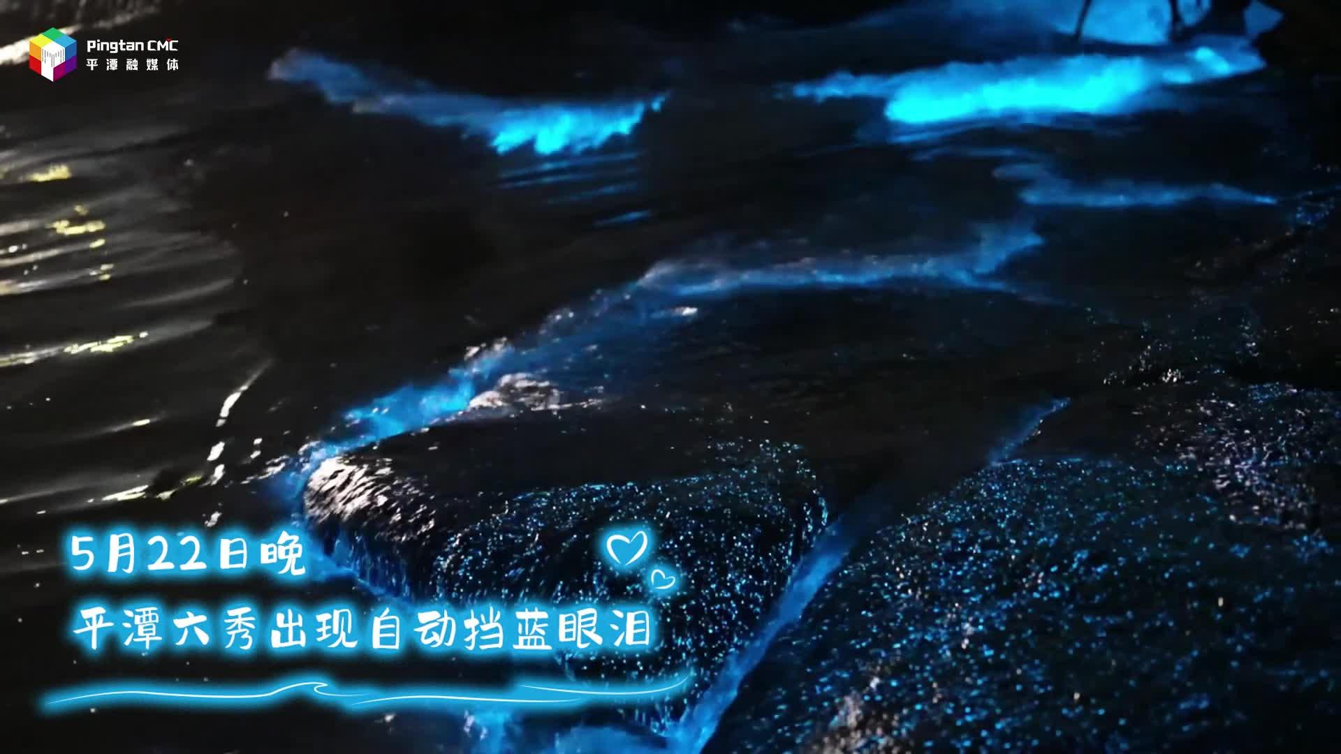 浪漫常駐！5月22日晚，平潭六秀出現自動擋藍眼淚