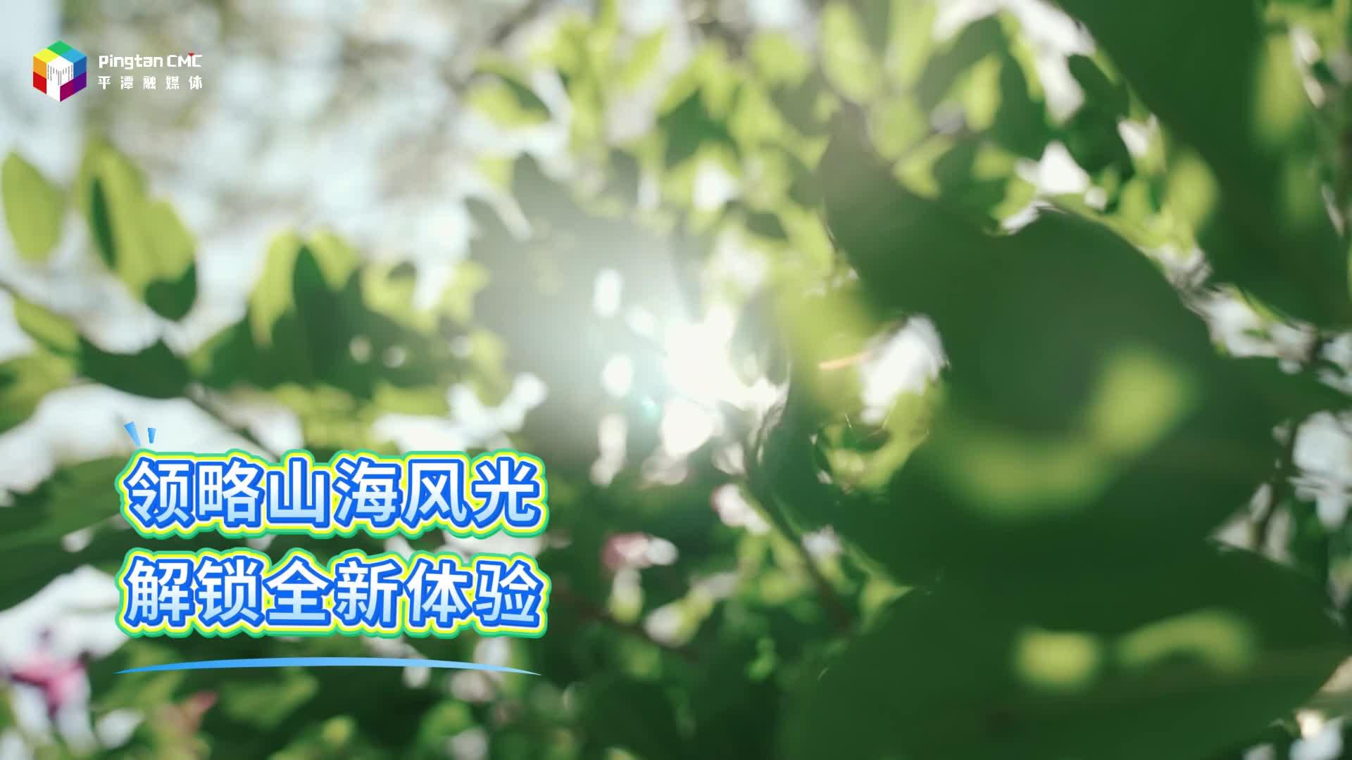 臺灣風情+文創好禮，解鎖海島新體驗